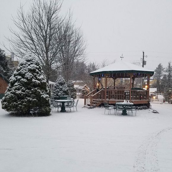 Meet your Posher, Ari - Picture 1 of 1